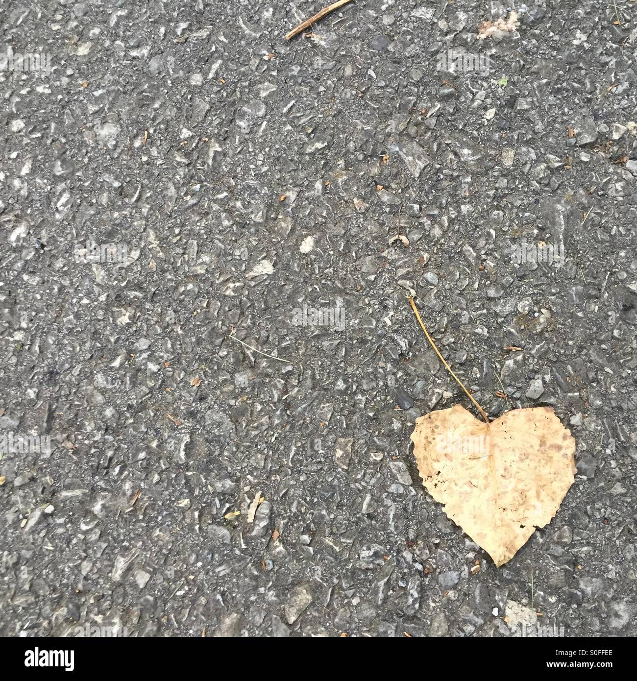 Amor en el pavimento Foto de stock