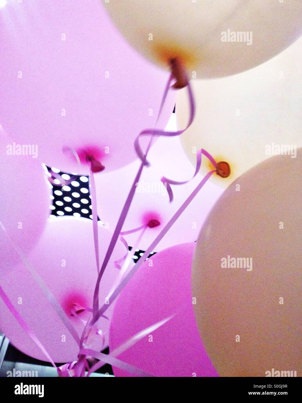 Globos Foto de stock