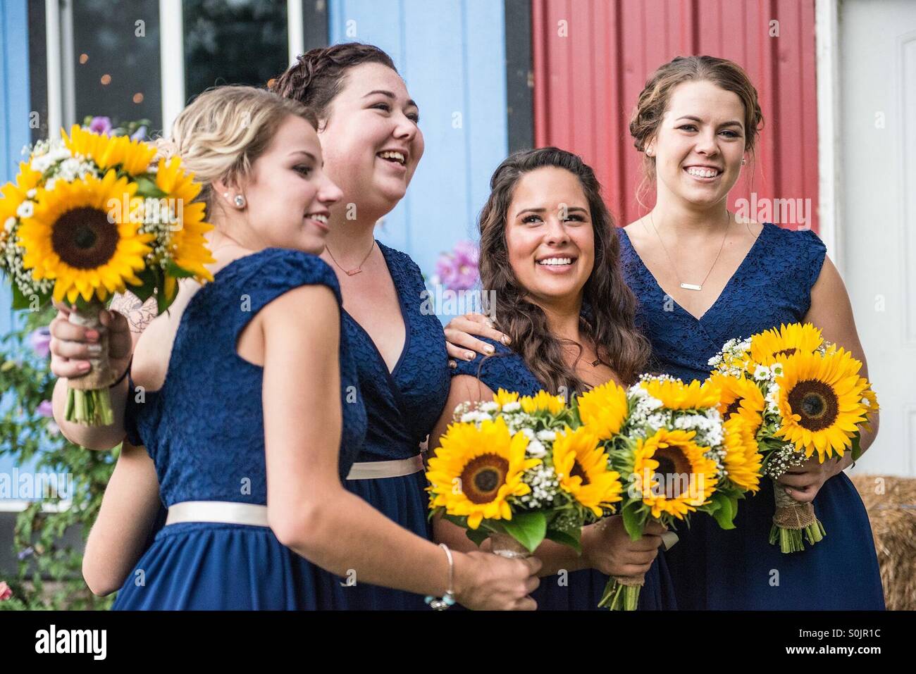 4 damas de honor en la boda del condado azul marino vestidos que coinciden sosteniendo el girasol ramos Fotografía de stock - Alamy