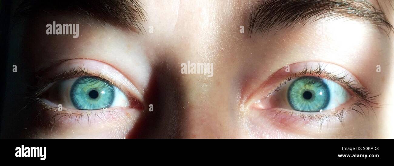 Ojos azul verdoso Fotografía de stock Alamy