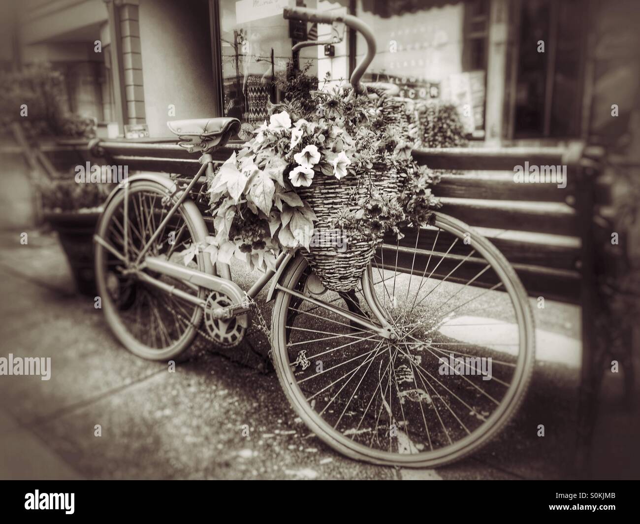Vieja bicicleta con canasta de flores Foto de stock