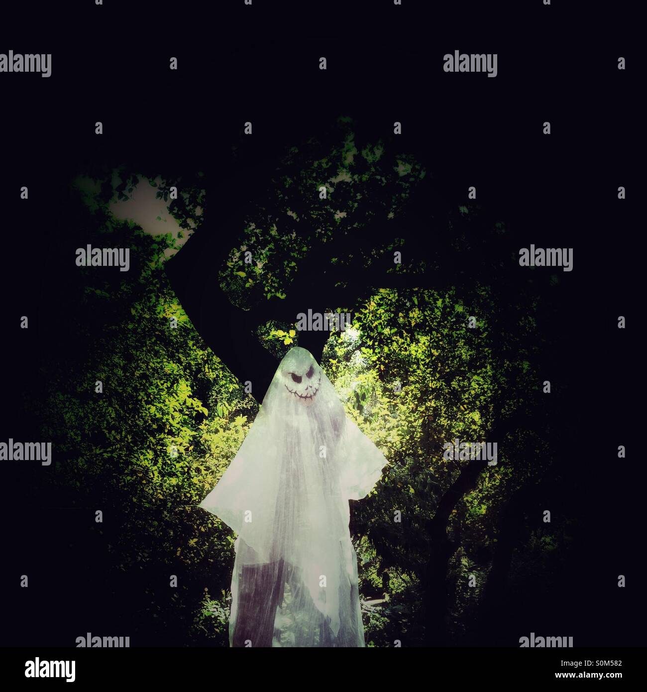 Fantasma en un bosque Foto de stock
