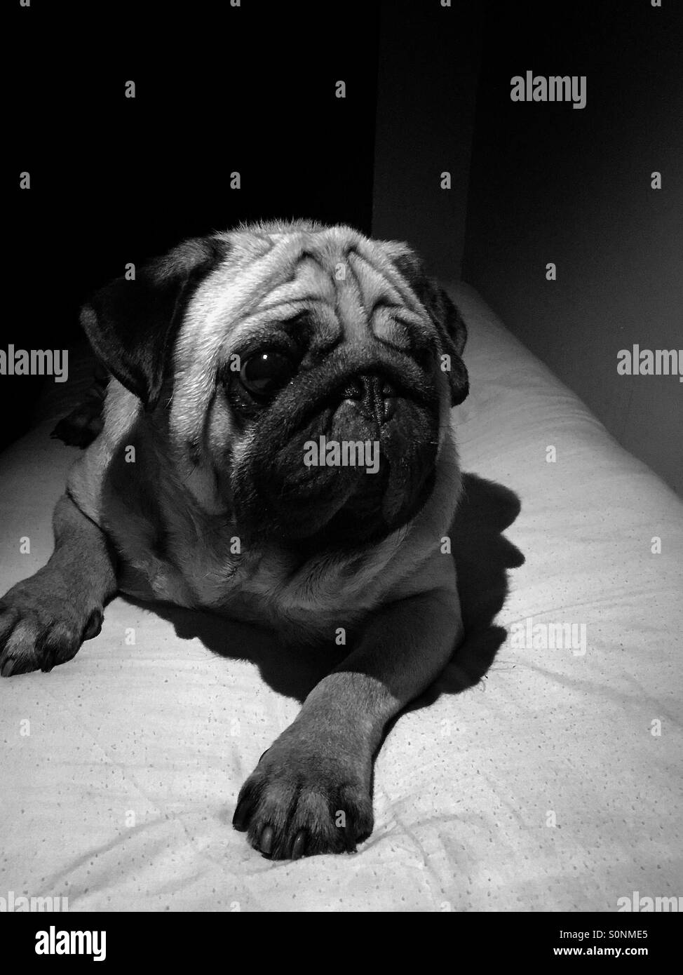 Snapseed Imágenes de stock en blanco y negro - Alamy