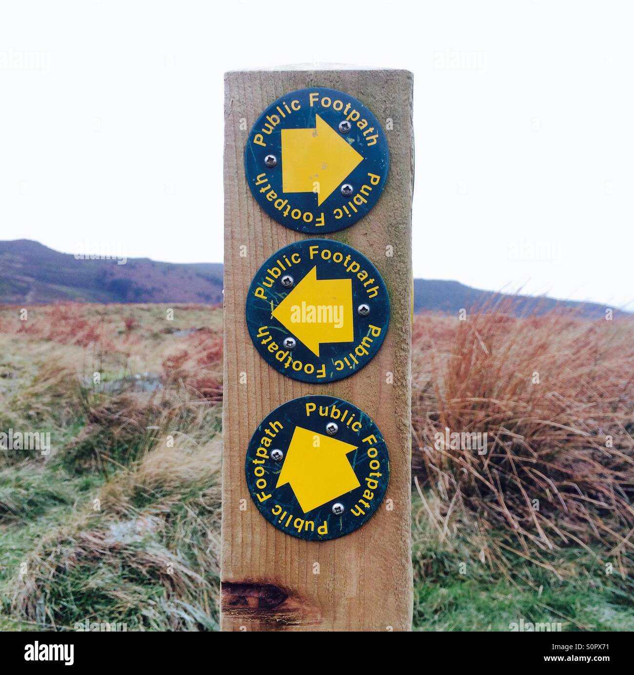 Un signo para los distintos paseos públicos a través de páramos en Northumberland, Reino Unido. Foto de stock