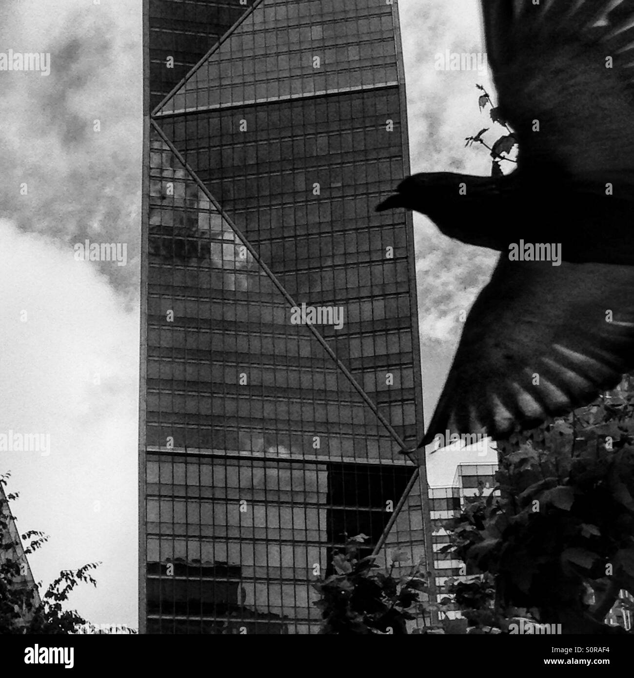 La Defense construir y volar bird, París Foto de stock
