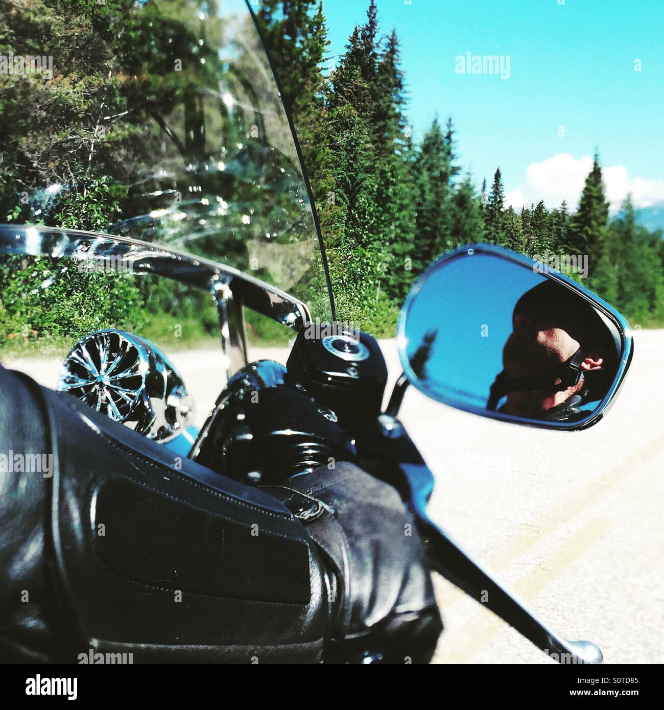 Motorista llevaba una chaqueta de cuero negro montando una Harley Davidson crucero por las calles de Jasper, Canadá, bordeada de pinos acompañado por los cielos azules. Foto de stock