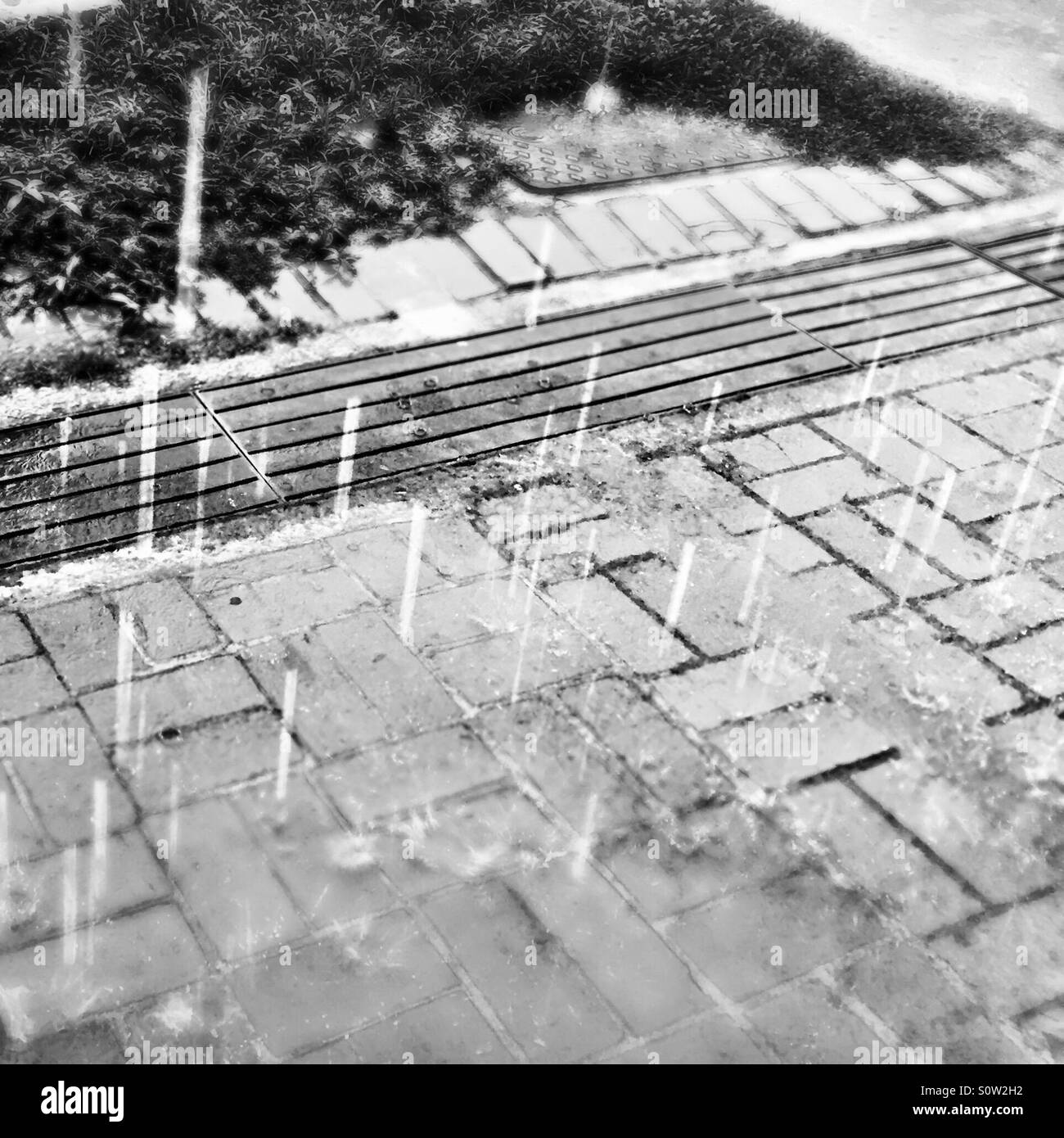 Las gotas de lluvia cayendo sobre el pavimento Foto de stock