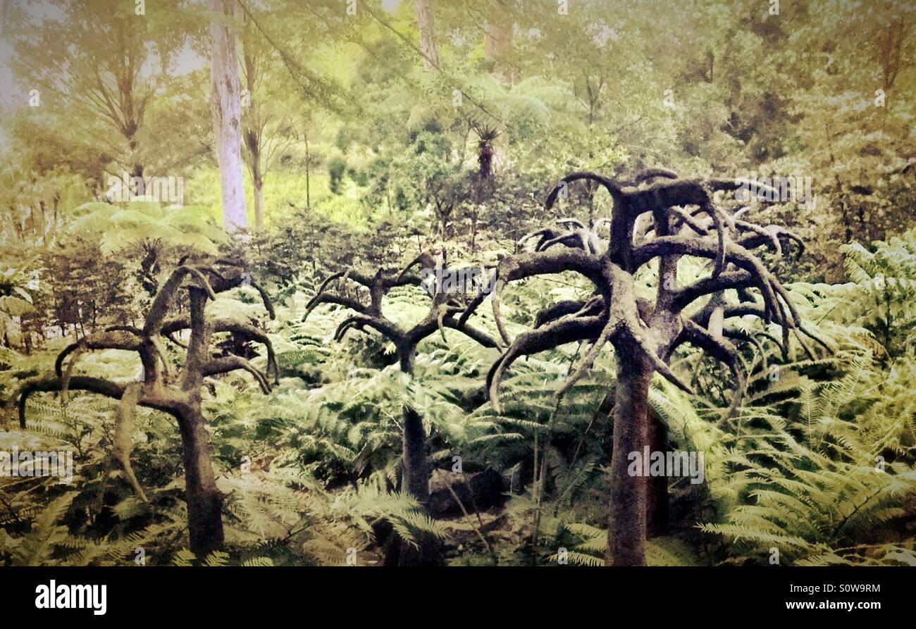 Un extraño de árboles en el jardín de la evolución, los jardines botánicos de Singapur Foto de stock