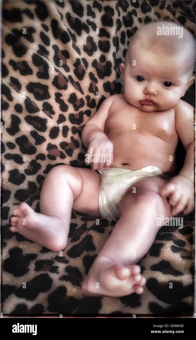 Bebé sobre una manta de leopardo Foto de stock