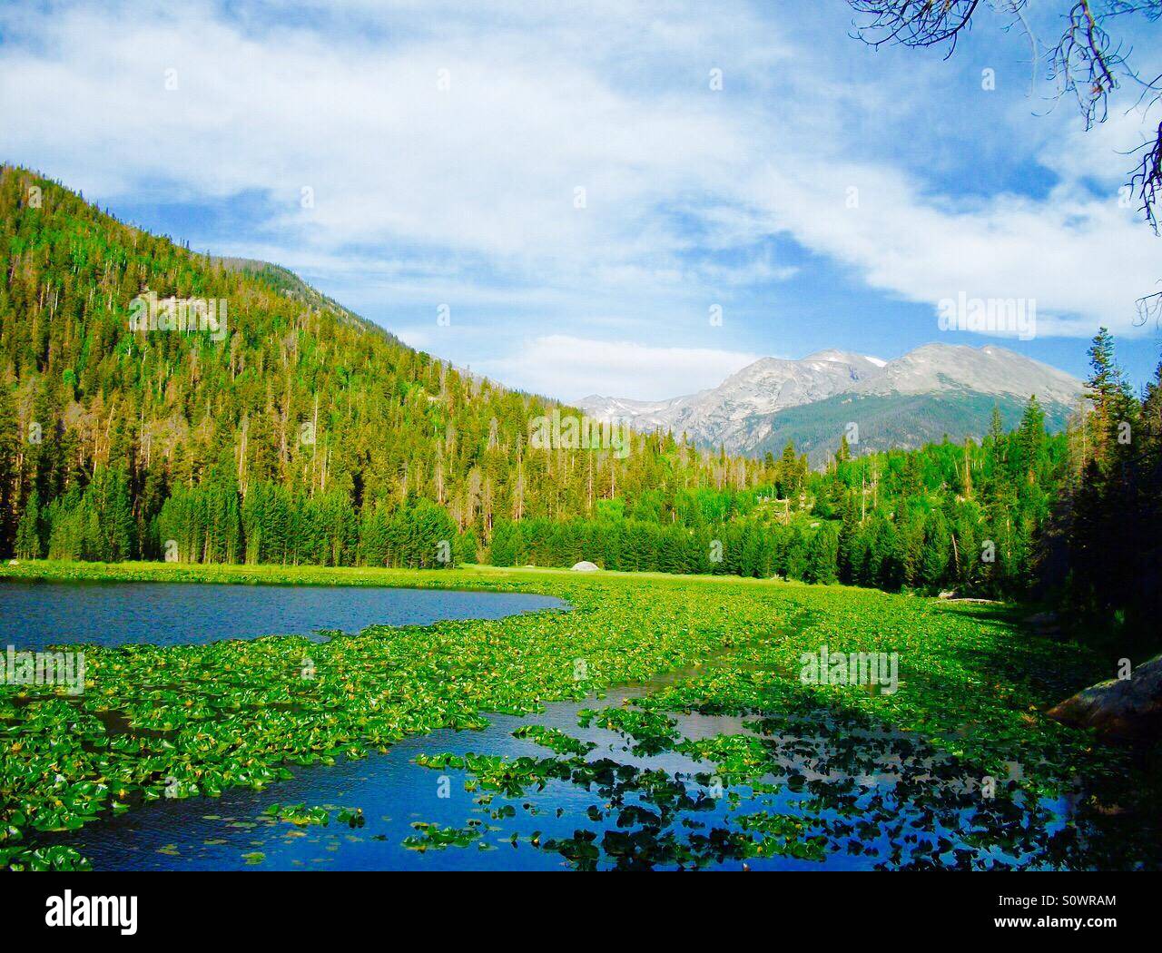 Emerald Lake en el Parque Nacional de las Montañas Rocosas Foto de stock