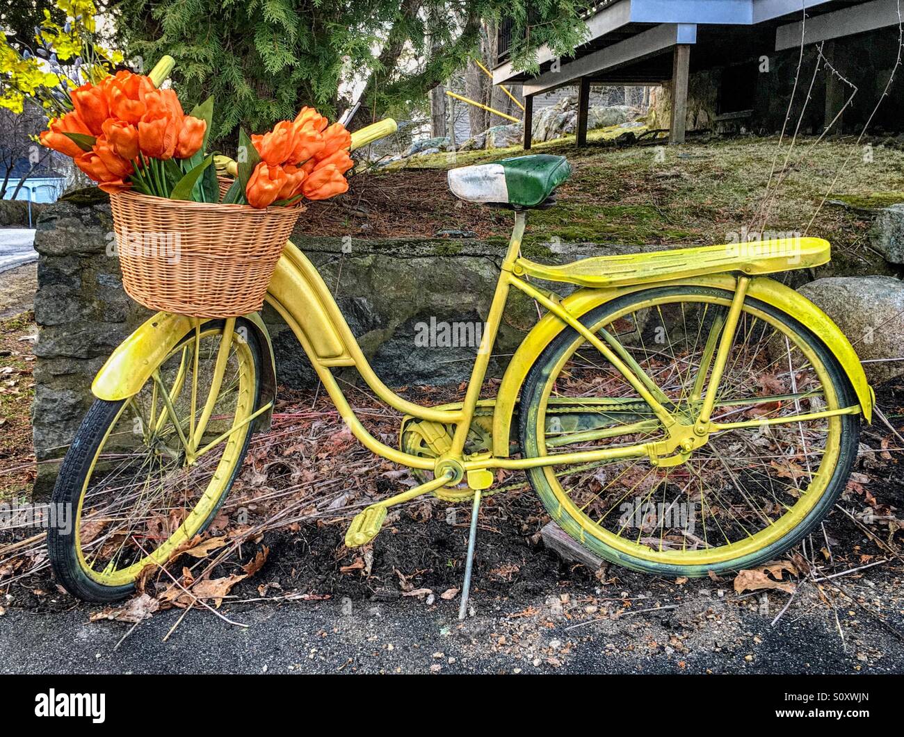 Bicicleta amarillo decorado para la primavera en New Castle, New Hampshire  Fotografía de stock - Alamy
