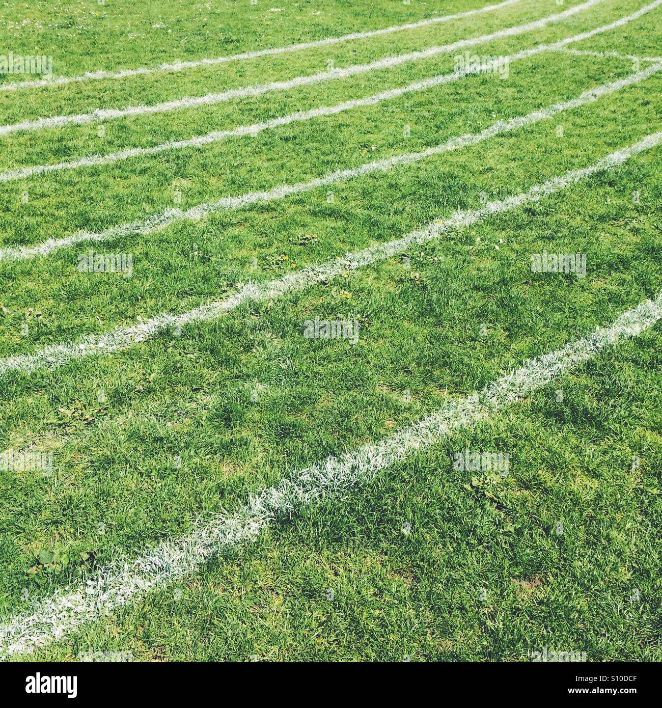 Líneas blancas en un campo deportivo de césped Foto de stock