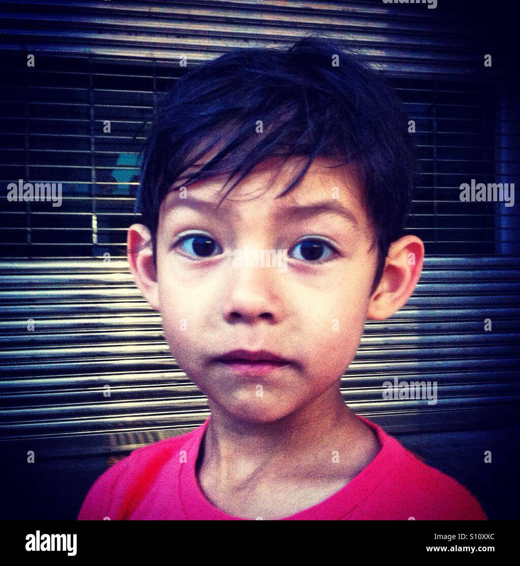 Retrato de un niño de 6 años de antigüedad euroasiática Foto de stock