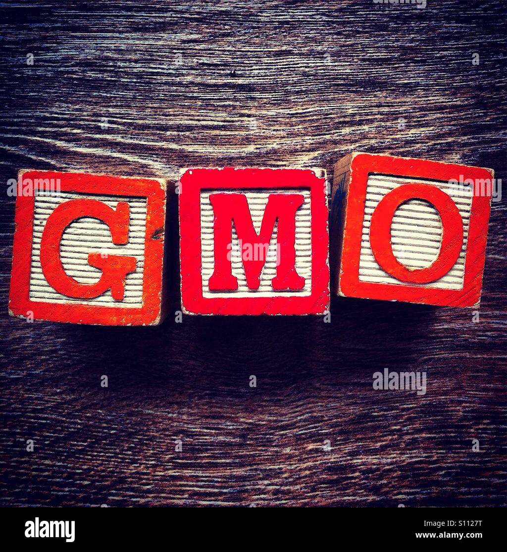 El acrónimo OMG para los Organismos Genéticamente Modificados. Hecho con bloques de madera de letras del alfabeto Foto de stock