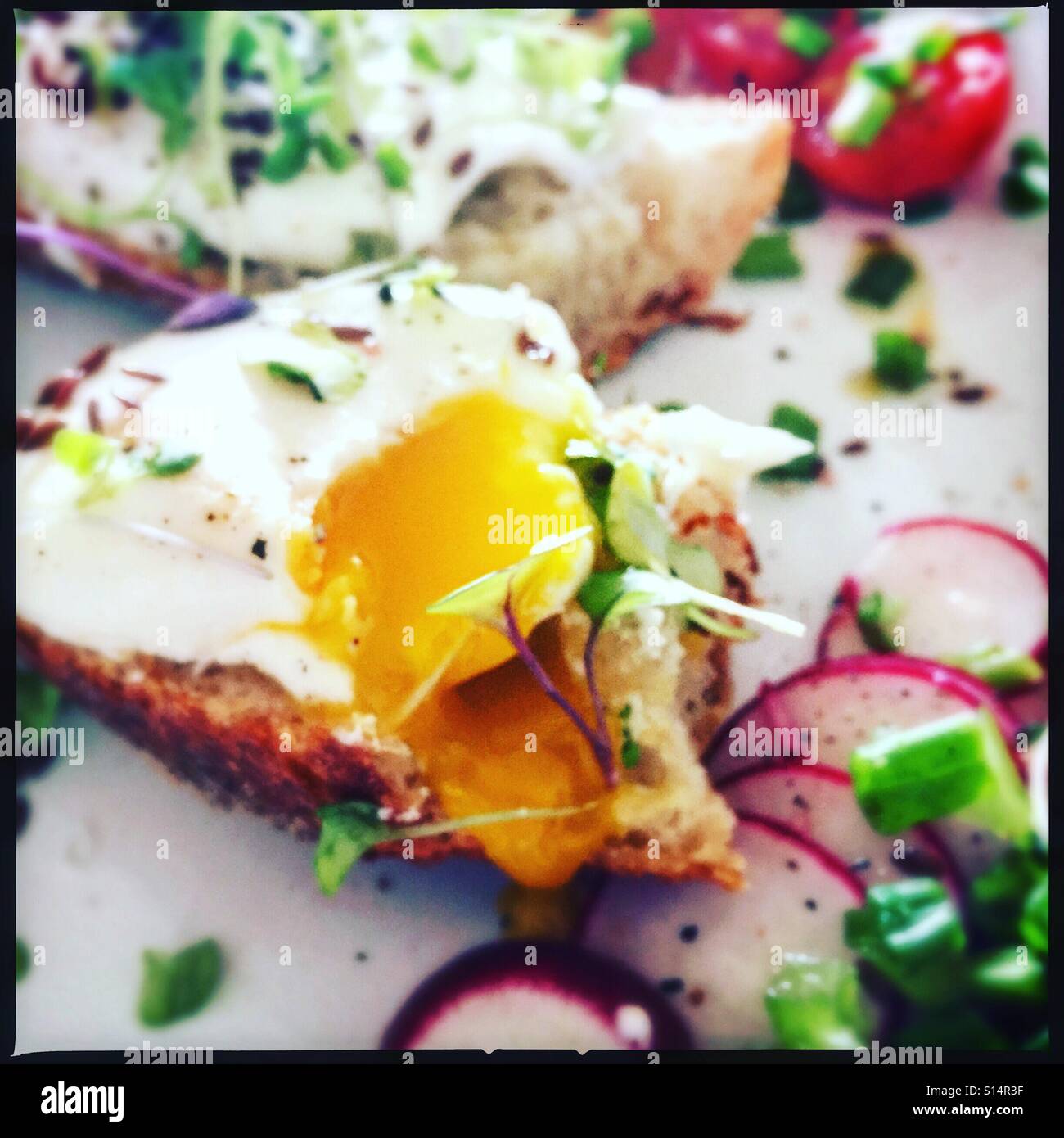 Huevos escalfados sobre la baguette. Foto de stock