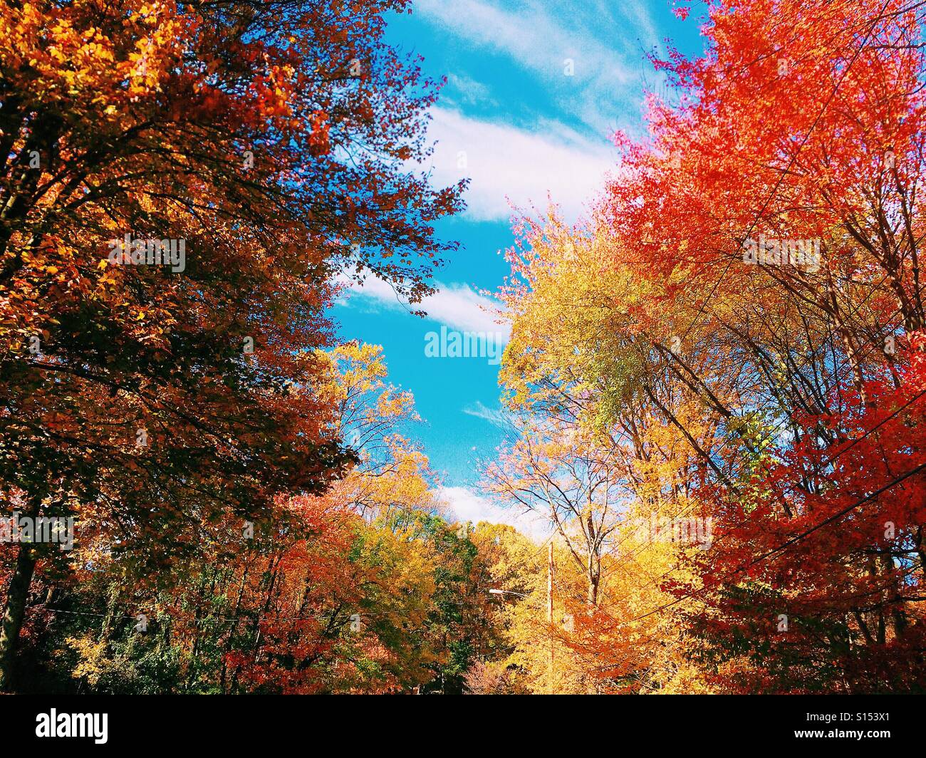 Nueva Inglaterra los coloridos árboles y hojas de otoño Foto de stock