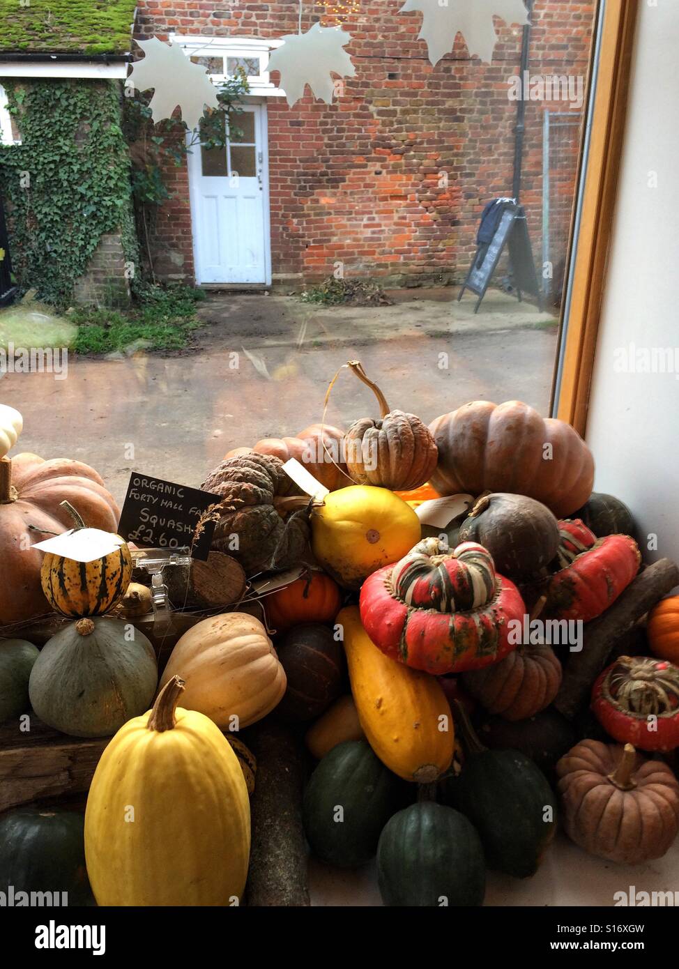 Selección de calabazas y calabazas en la tienda de la granja Foto de stock