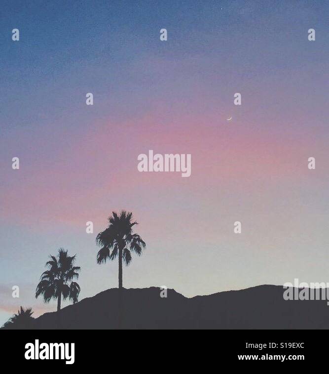 Powder Pink California atardecer Foto de stock