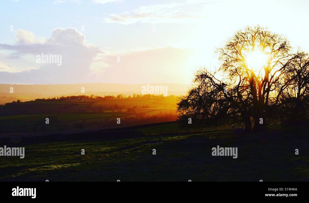 Atardecer en Somerset Foto de stock