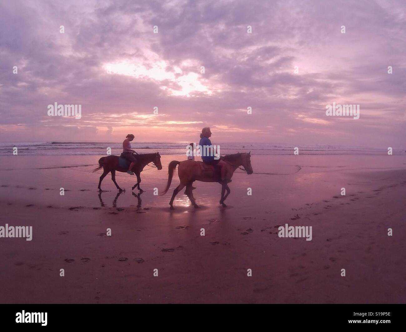 Rutas a caballo por la playa al atardecer Foto de stock