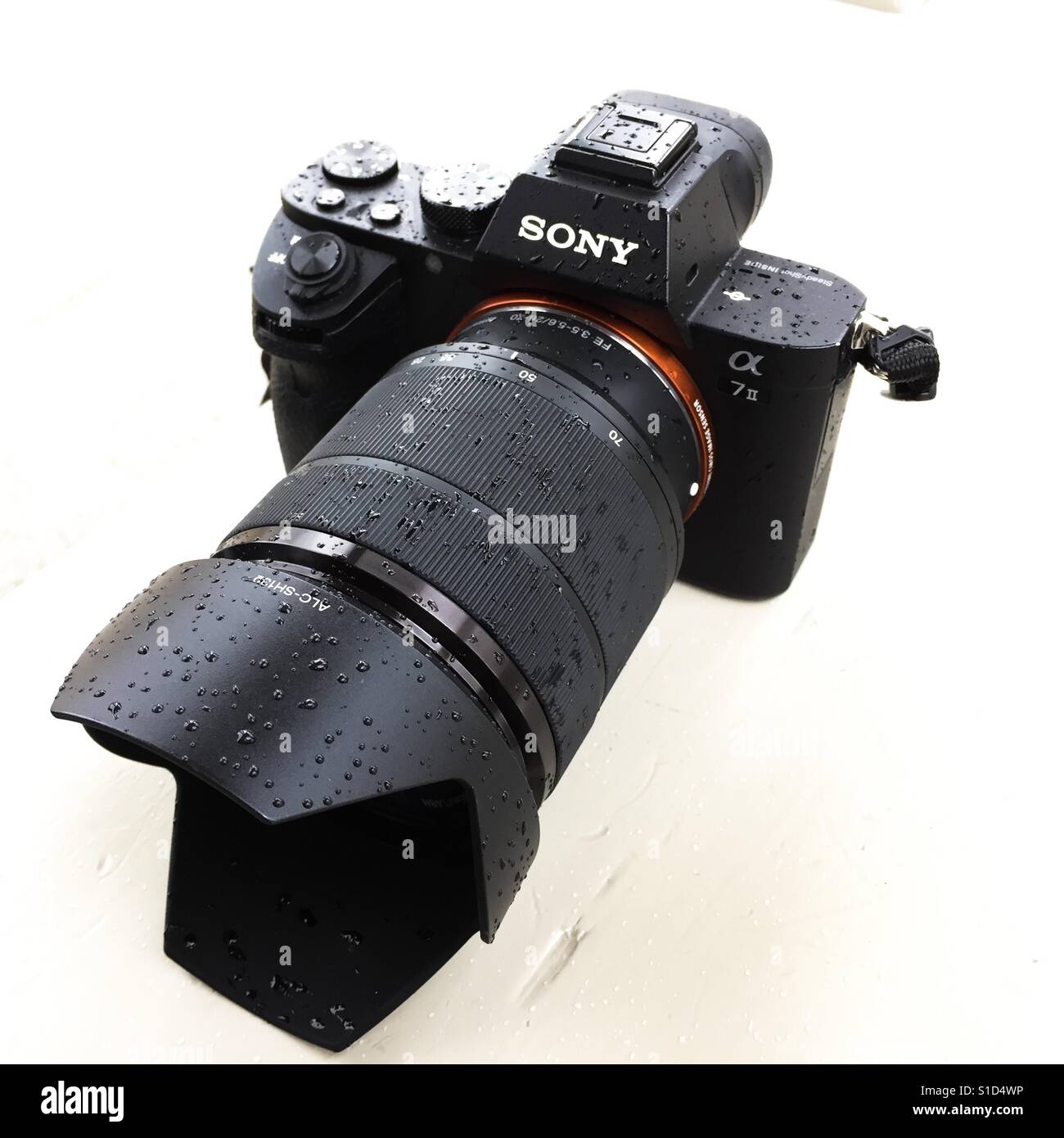 Sony a7ii fotografías e imágenes de alta resolución - Alamy