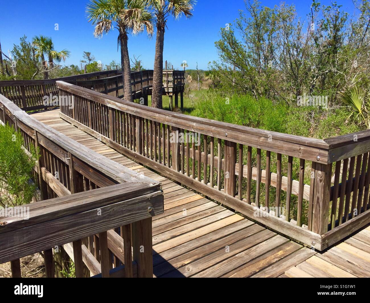 Marsh pasarelas en la Isla Castaway preservar en Jacksonville, Florida. Foto de stock