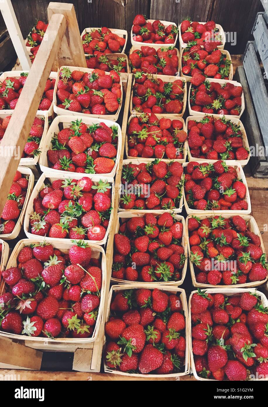 Fresas Frescas En El Mercado En La Jerusalén Vieja, Israel Imagen de  archivo - Imagen de fondo, granja: 51115255