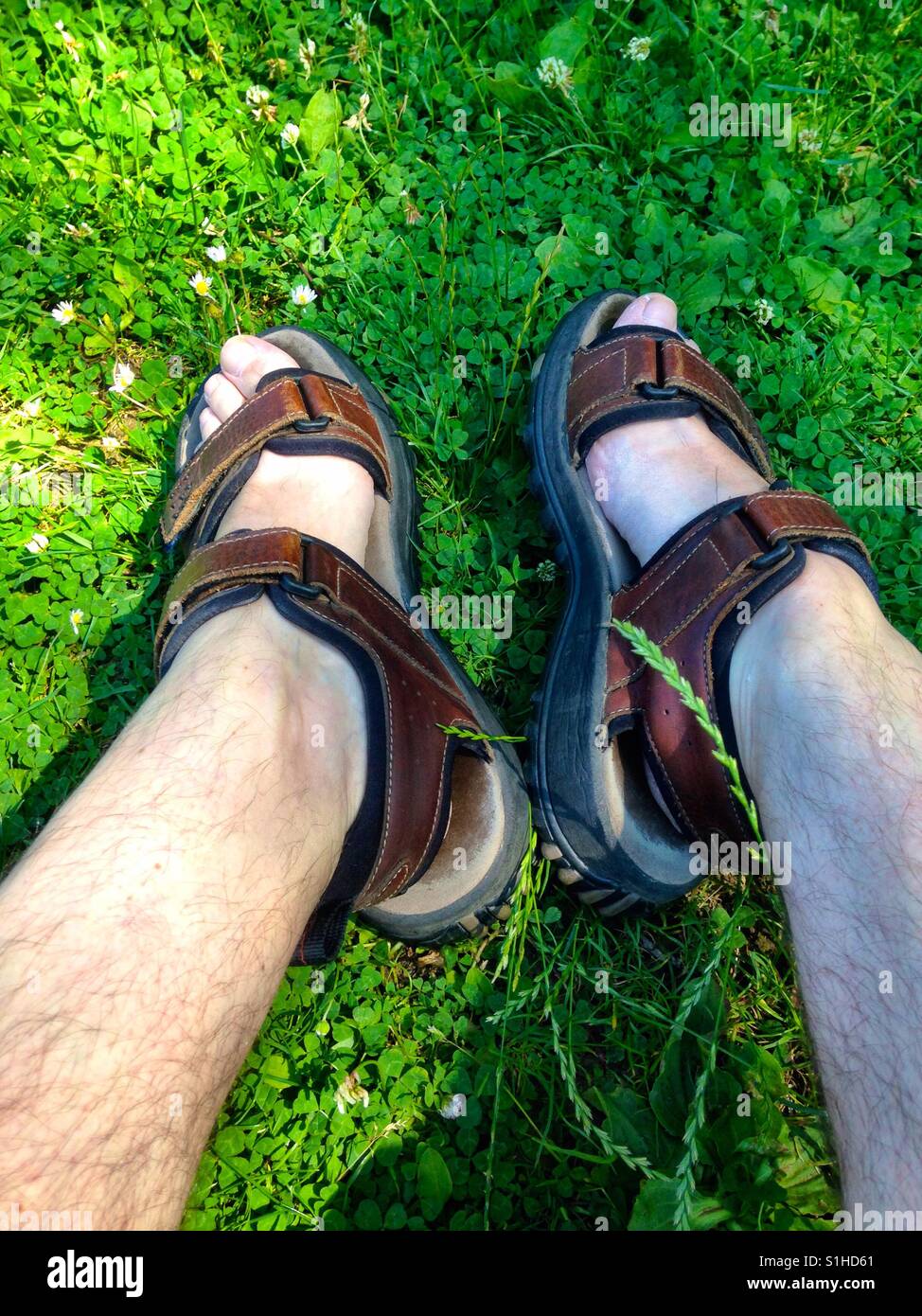 En particular domingo contaminación Pies masculinos de usar sandalias Fotografía de stock - Alamy