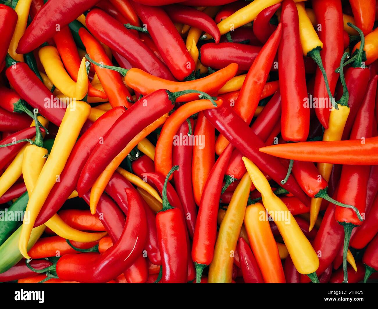 Coloridos pimientos picantes en un mercado de granjeros Foto de stock