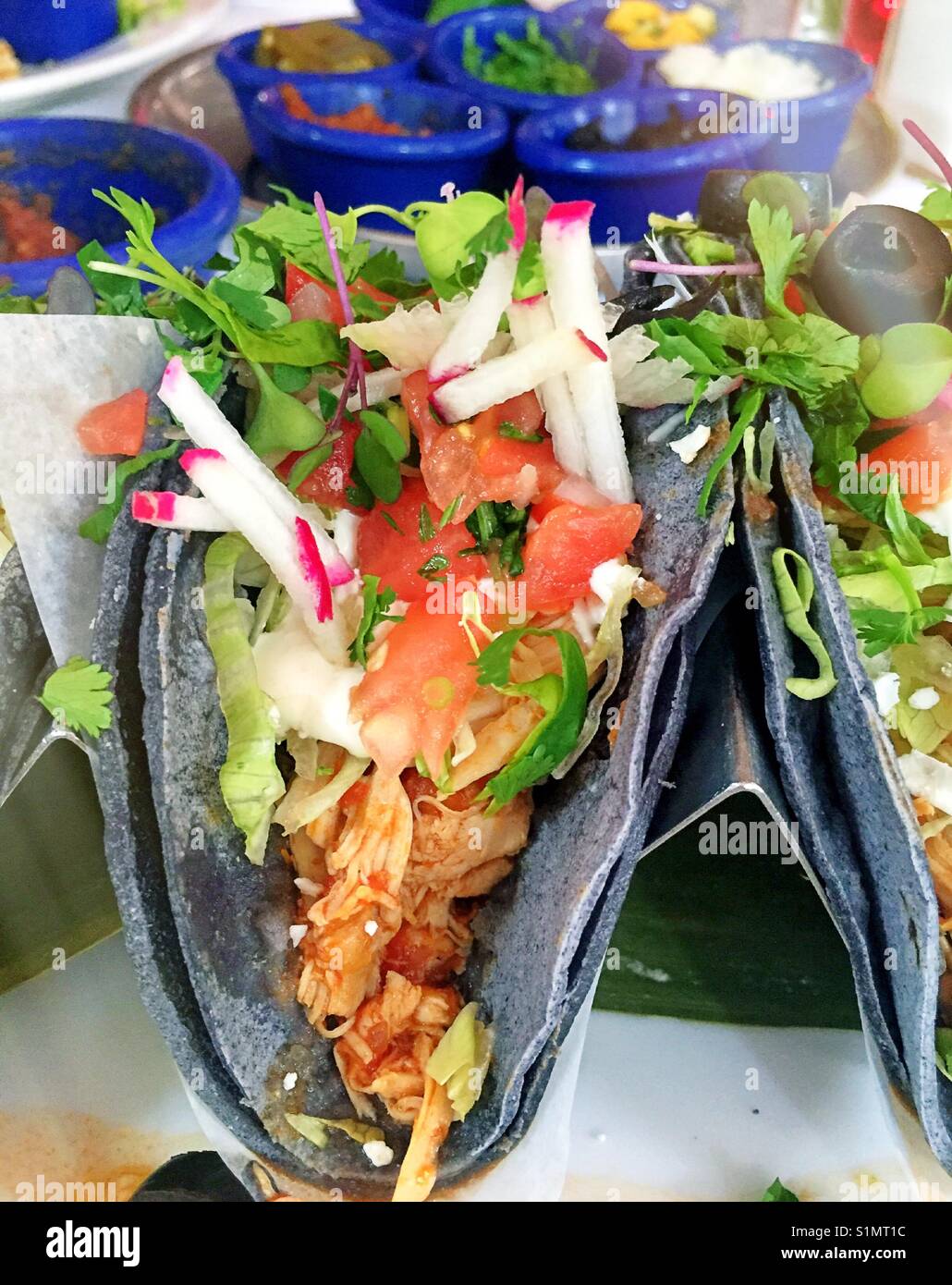 Taco de pollo con tortilla de maíz azul en el restaurante mexicano, EE.UU  Fotografía de stock - Alamy