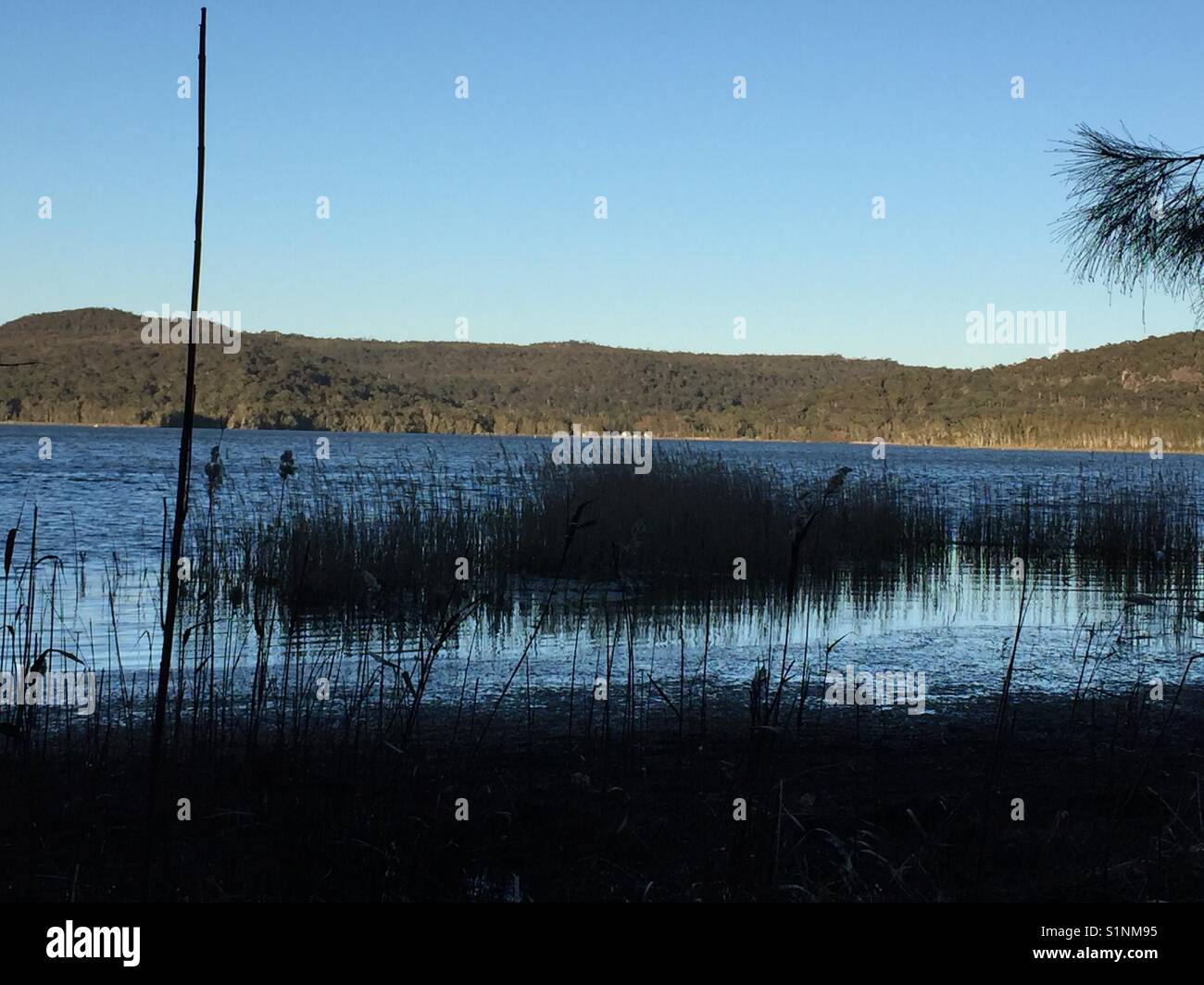 Temprano por la mañana en el lago narrabeen, playas del norte de Sydney Foto de stock