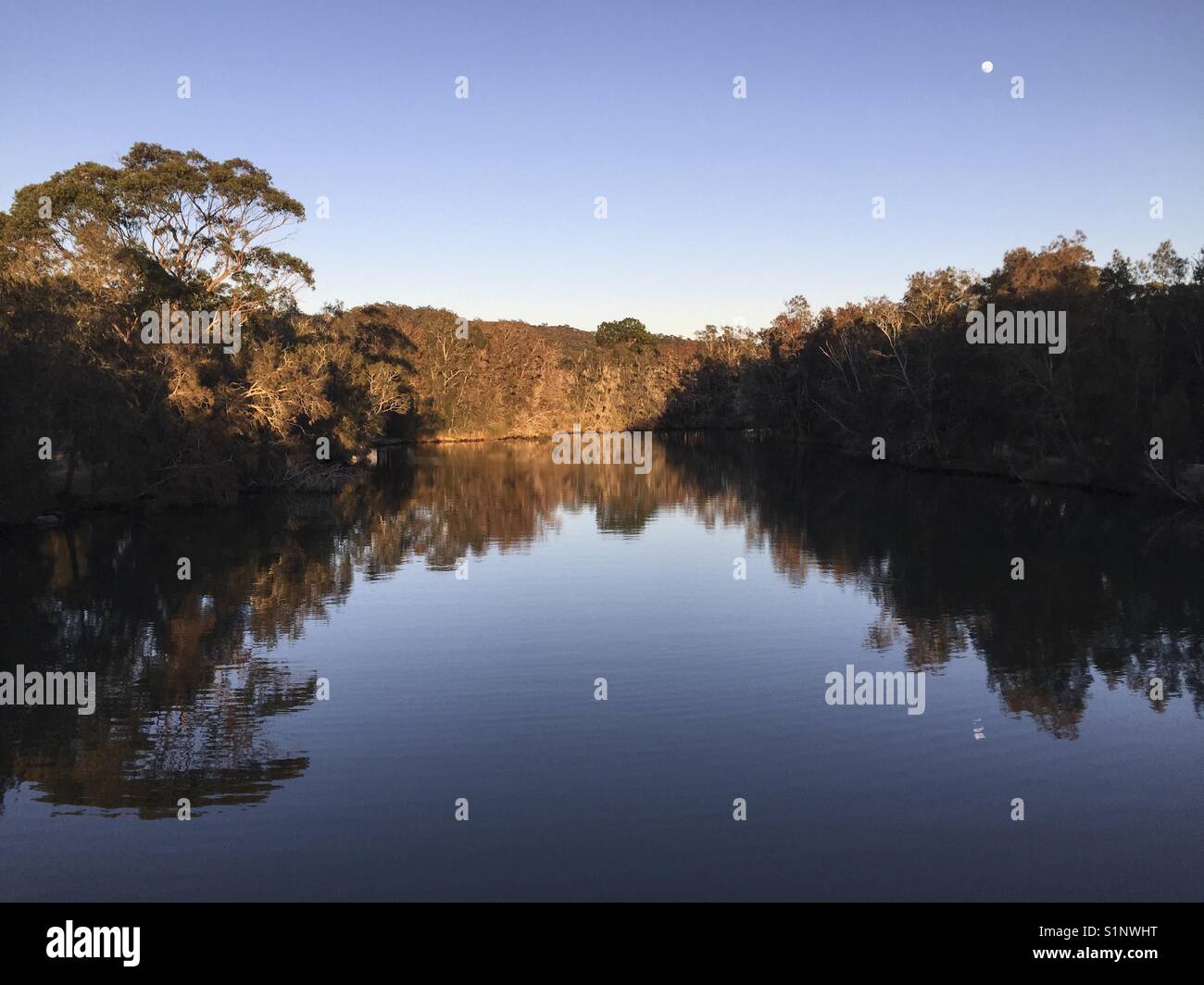 Los árboles se reflejan en el lago temprano en la mañana con la luna todavía visibles en narrabeen en playas del norte de Sydney, Australia. Foto de stock