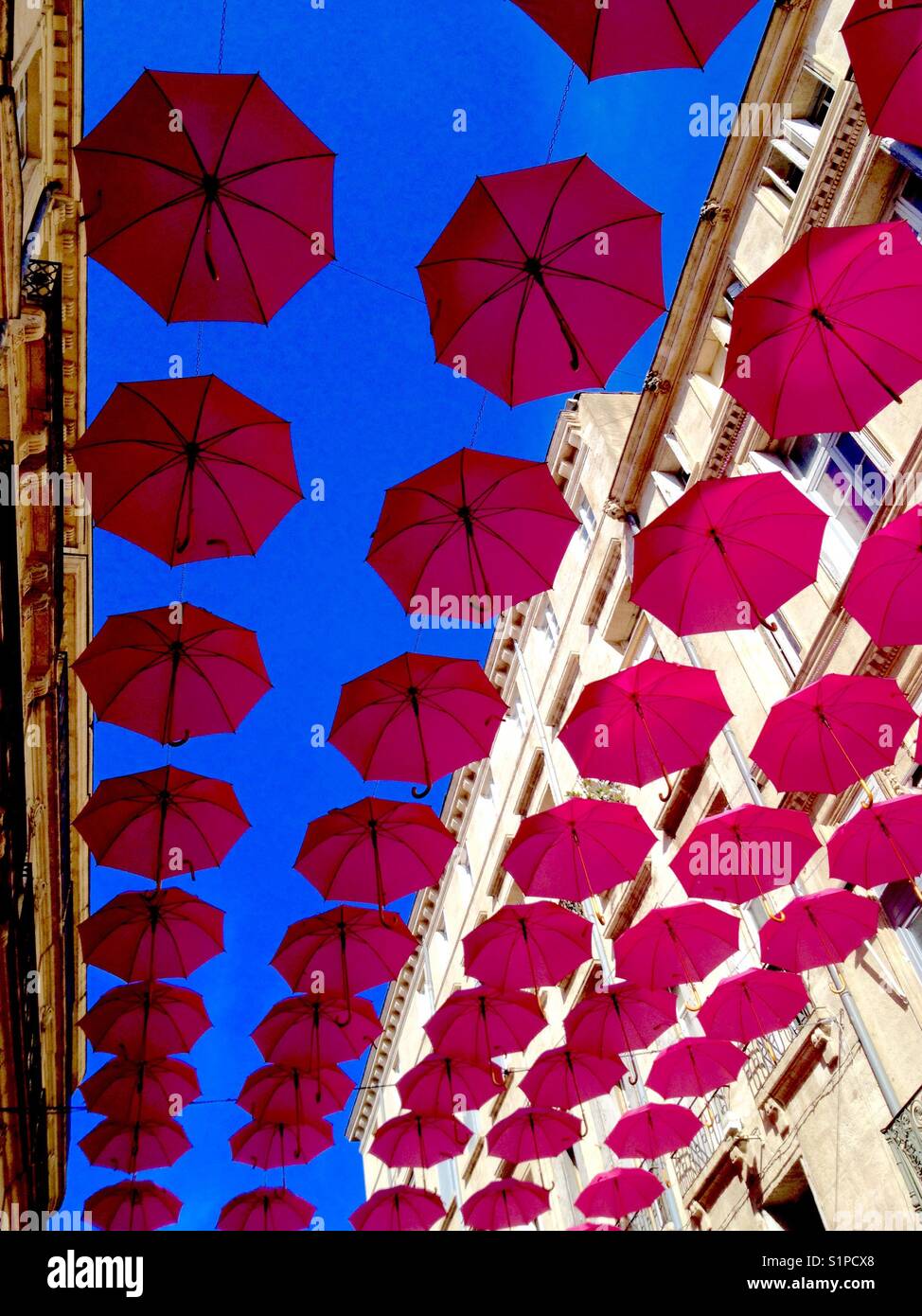 Octobre Rose, paraguas contra el cáncer colgado en la Rue De La Loge,  Montpellier Fotografía de stock - Alamy
