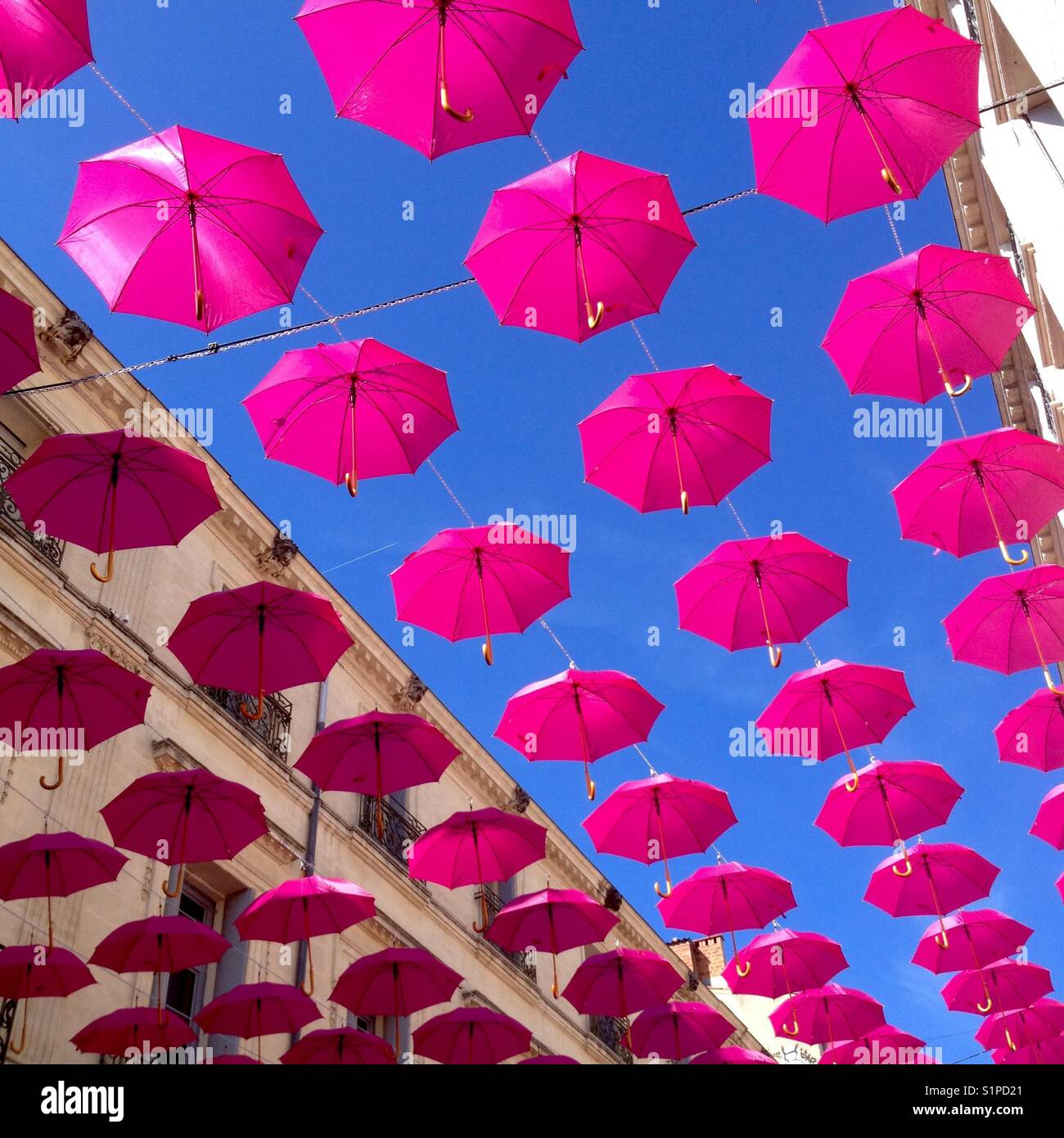 Octobre Rose, paraguas contra el cáncer colgado en la Rue De La Loge,  Montpellier Fotografía de stock - Alamy