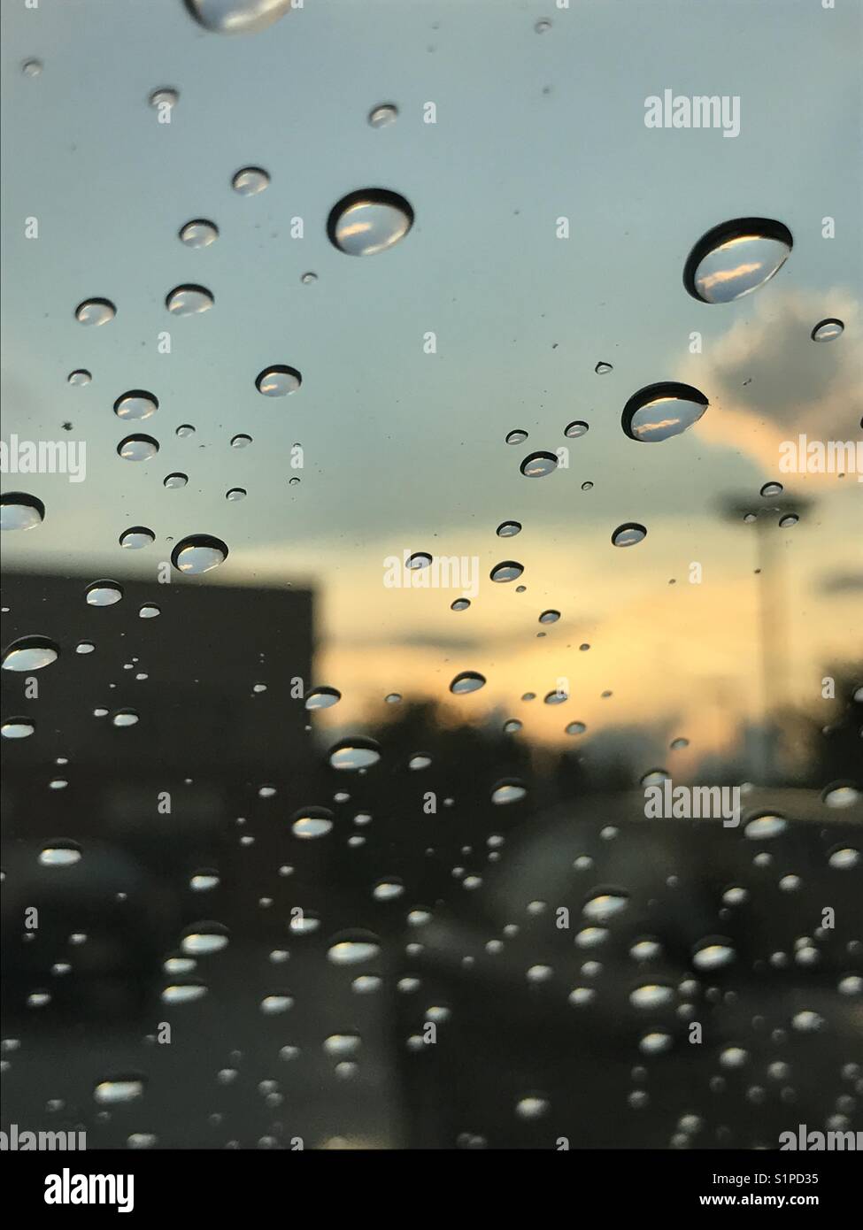 Gotas de lluvia verano verano fotografías e imágenes de alta resolución -  Alamy