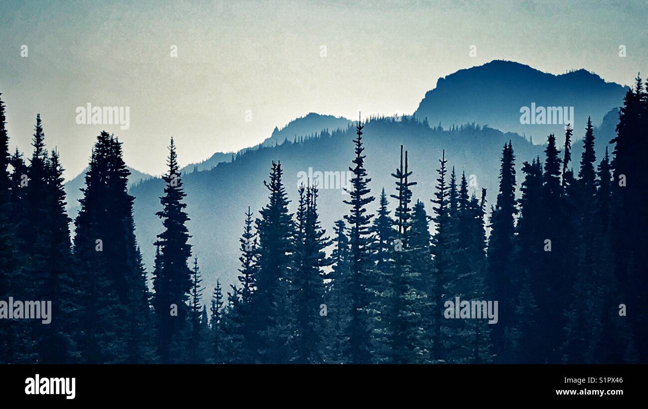Silueta de bosque con fondo de montaña Fotografía de stock - Alamy