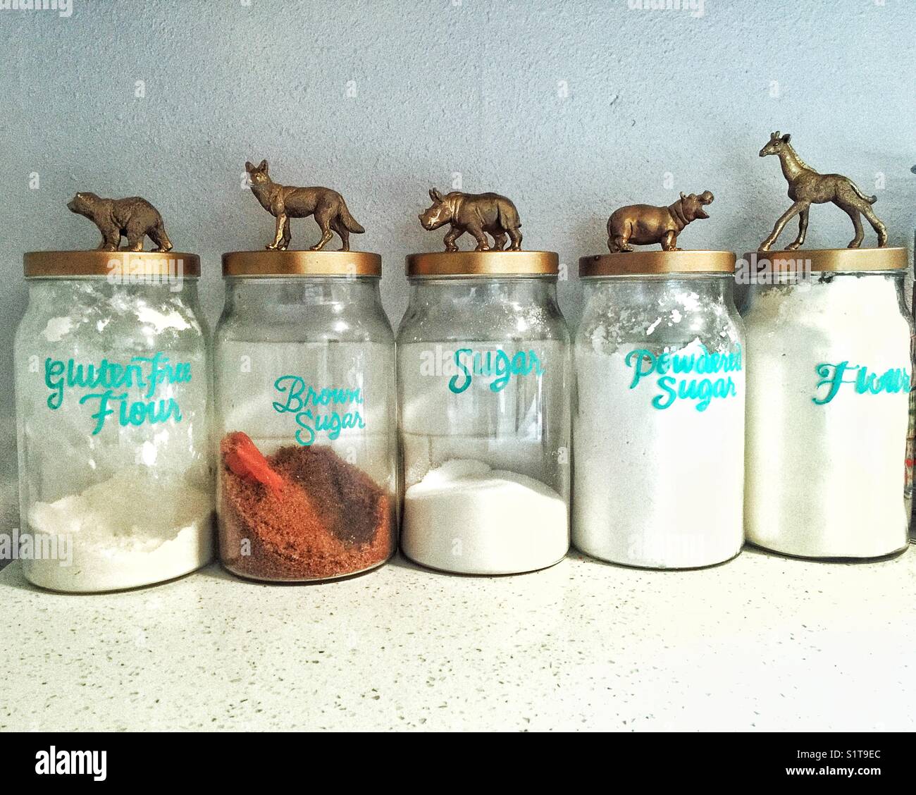 Grandes jarras de vidrio lleno de comida decoradas con animales pintado con  spray de tapas Fotografía de stock - Alamy