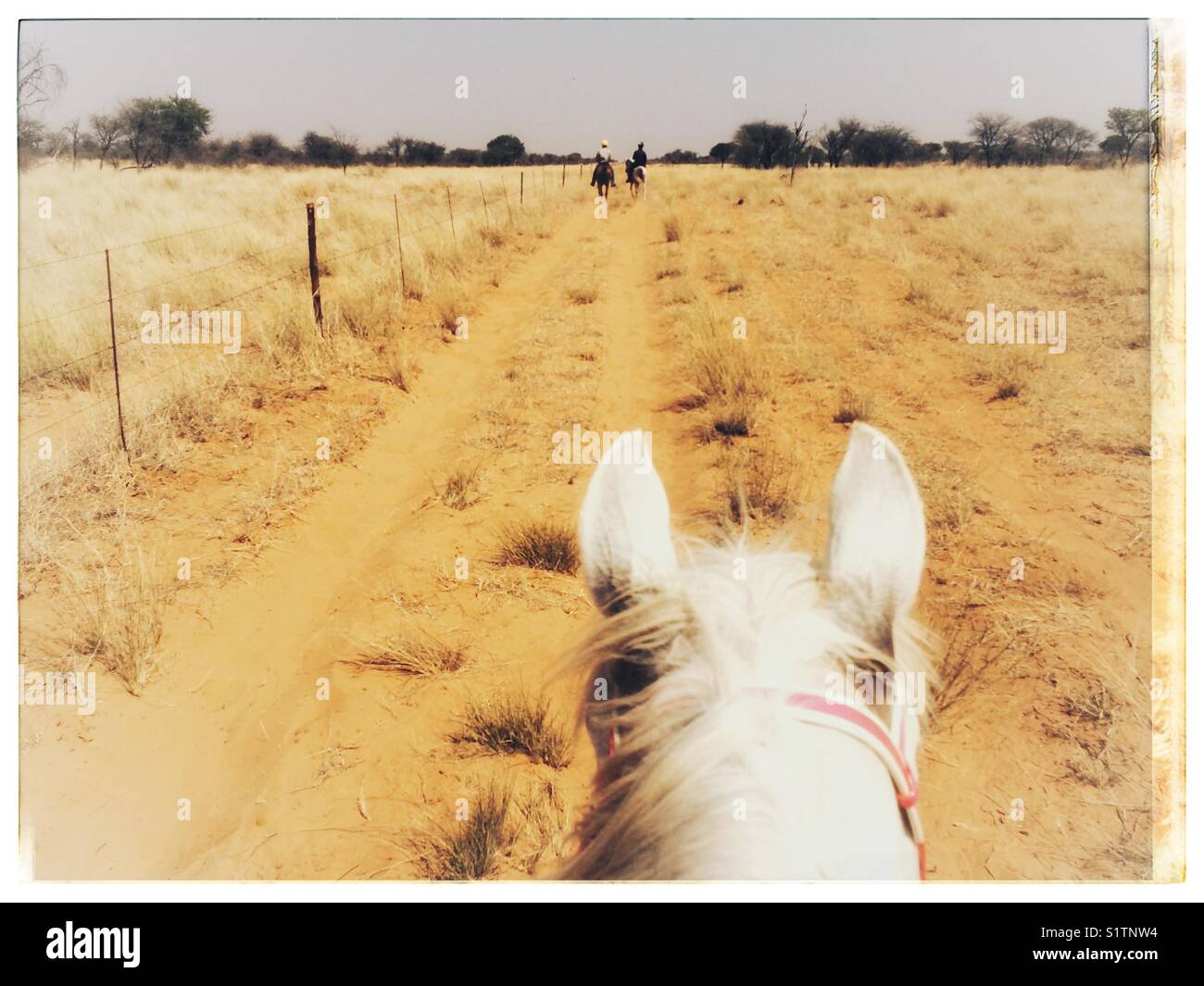 Una vista desde el corredor durante la equitación en la región de Kalahari de Sudáfrica. Foto de stock