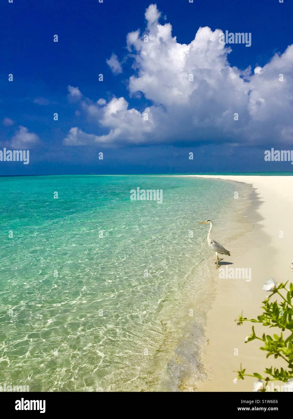 Playa Paraíso en Maldivas Foto de stock