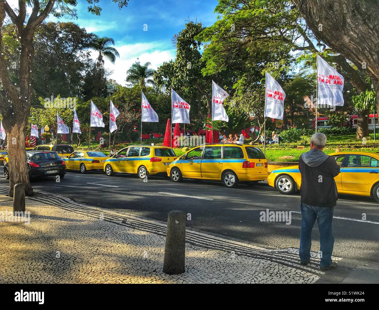 Los taxis esperando a clientes, colas en la Avenida Arriaga en frente de los Jardines Municipales, Funchal, Madeira, Portugal Foto de stock