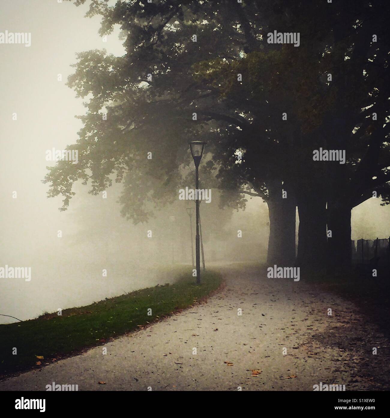 Misty de camino a pie. Foto de stock