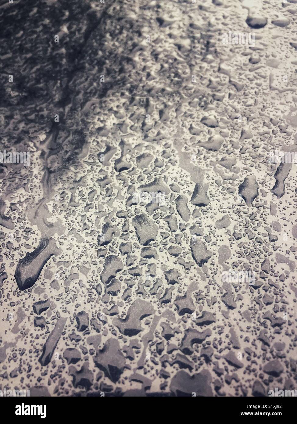 Húmedo (fotografía en color de primer plano de gotas de agua en un coche negro) Foto de stock