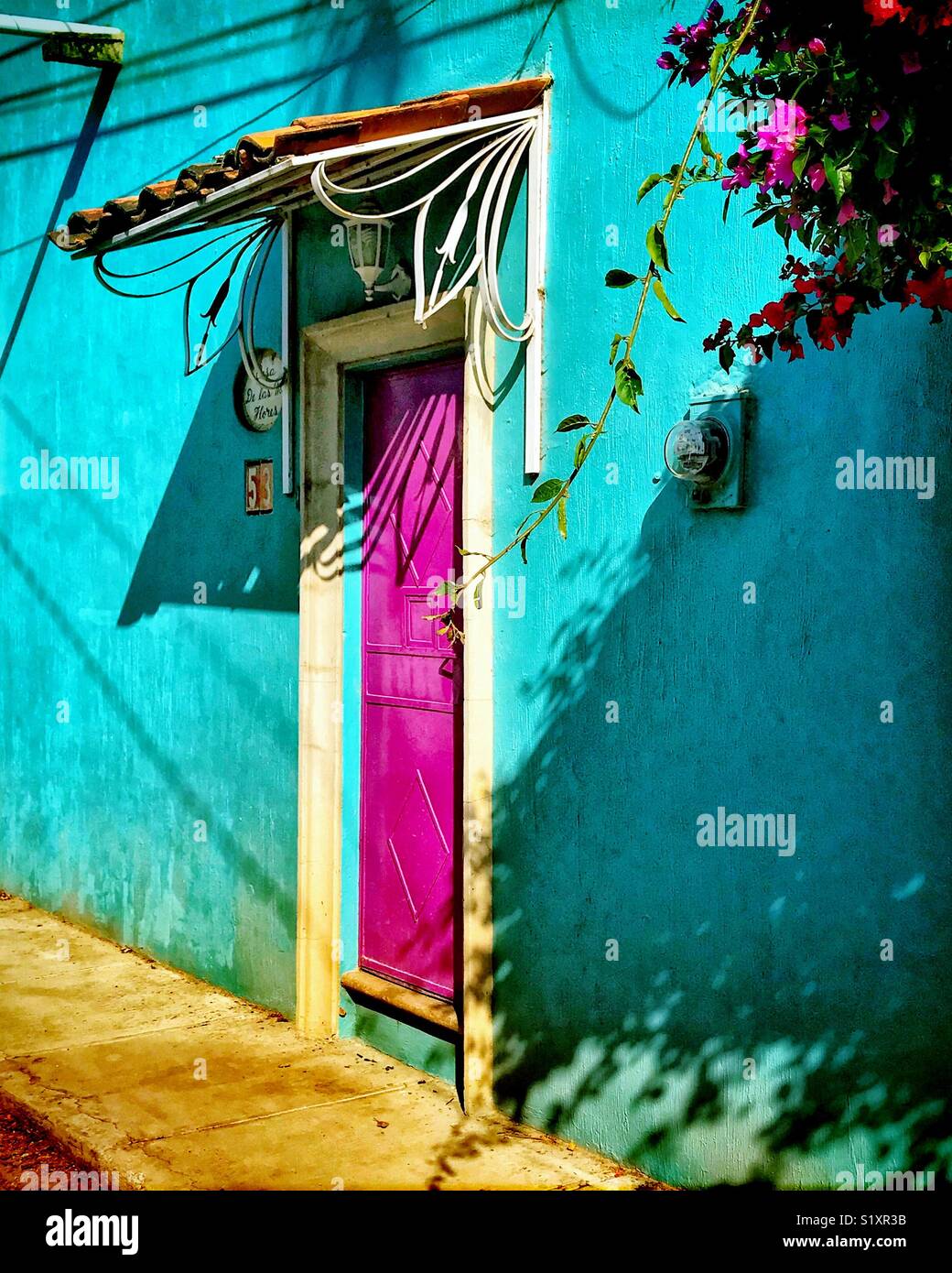 Hermosos Colores En Opciones De Pintura Y Flores Anaden Belleza A