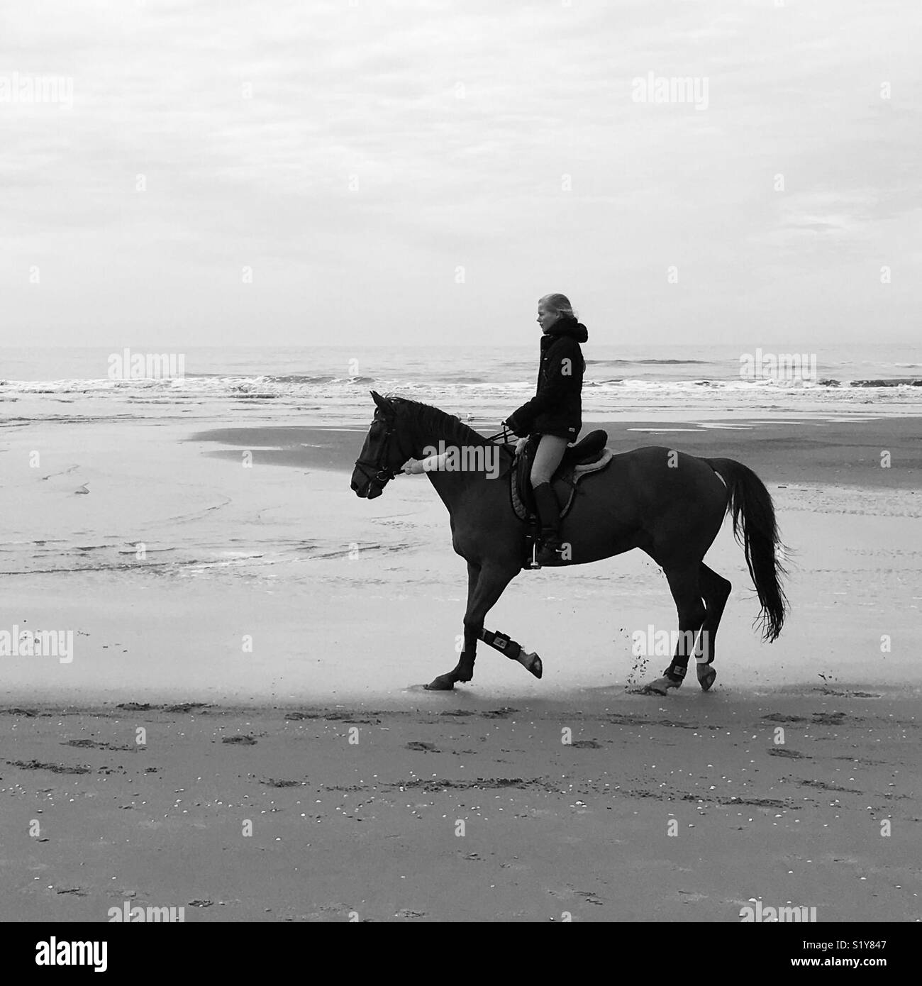 Montar a caballo en la playa Foto de stock