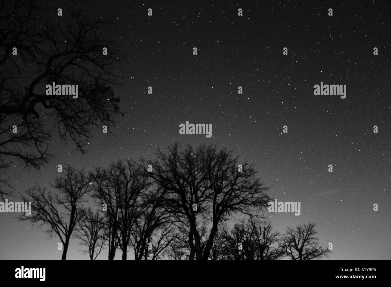 Cielo nocturno de Texas Foto de stock