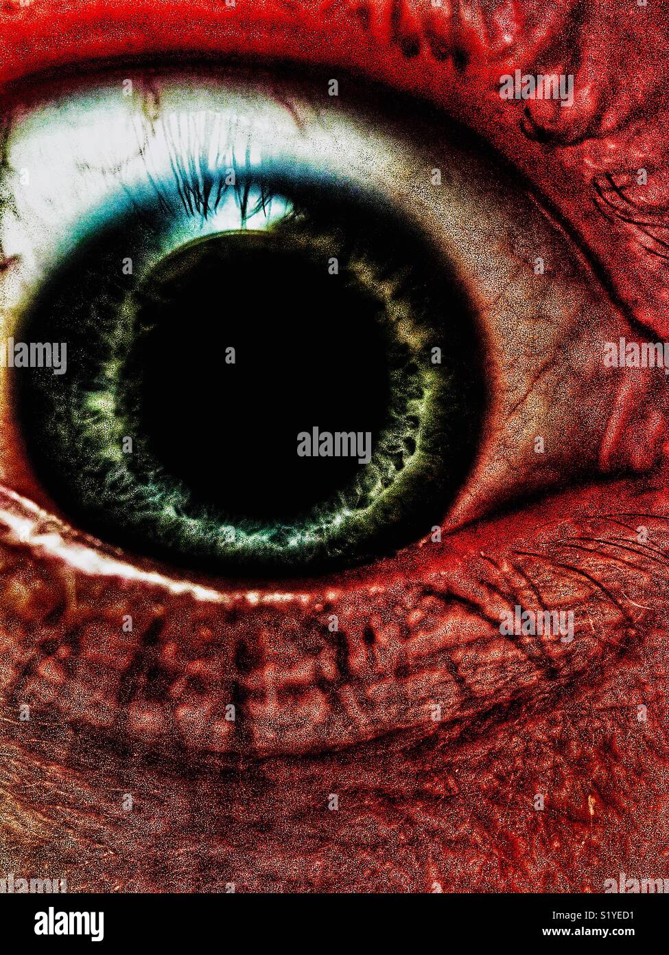 Primer plano del ojo humano Foto de stock