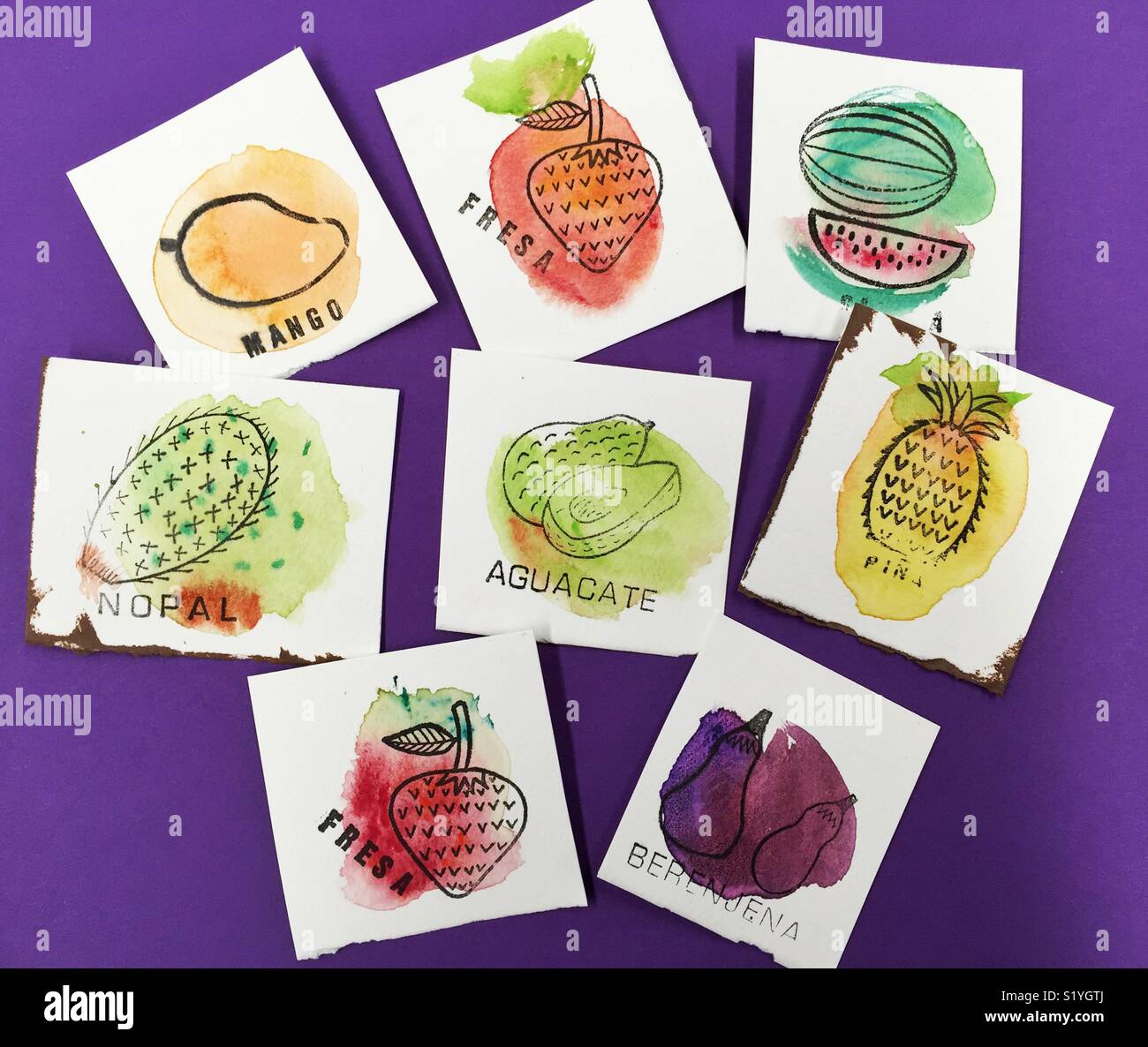 Frutas y verduras sellos sobre fondo de acuarela pintada a mano Fotografía  de stock - Alamy