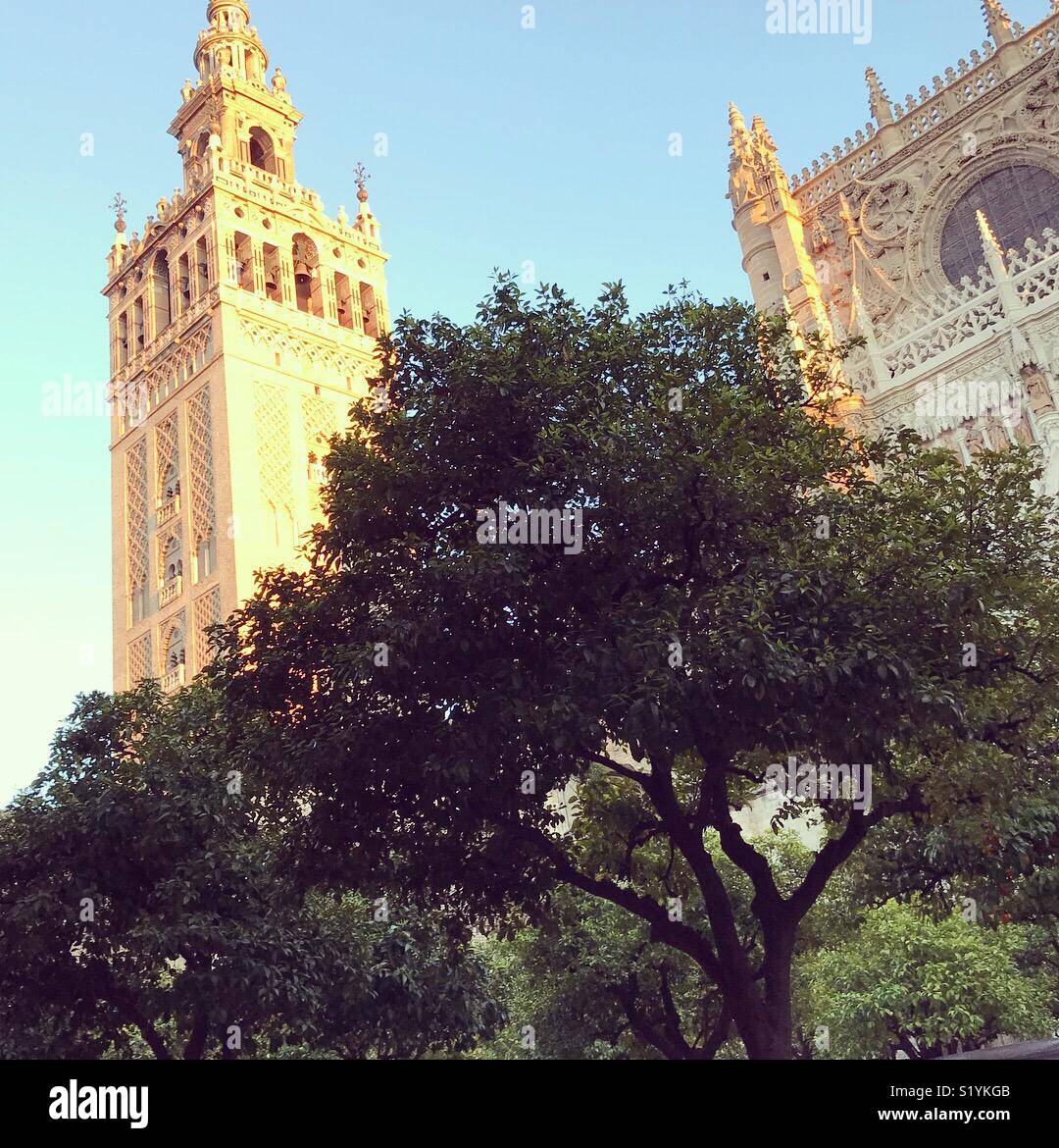 La Giralda, Sevilla Foto de stock