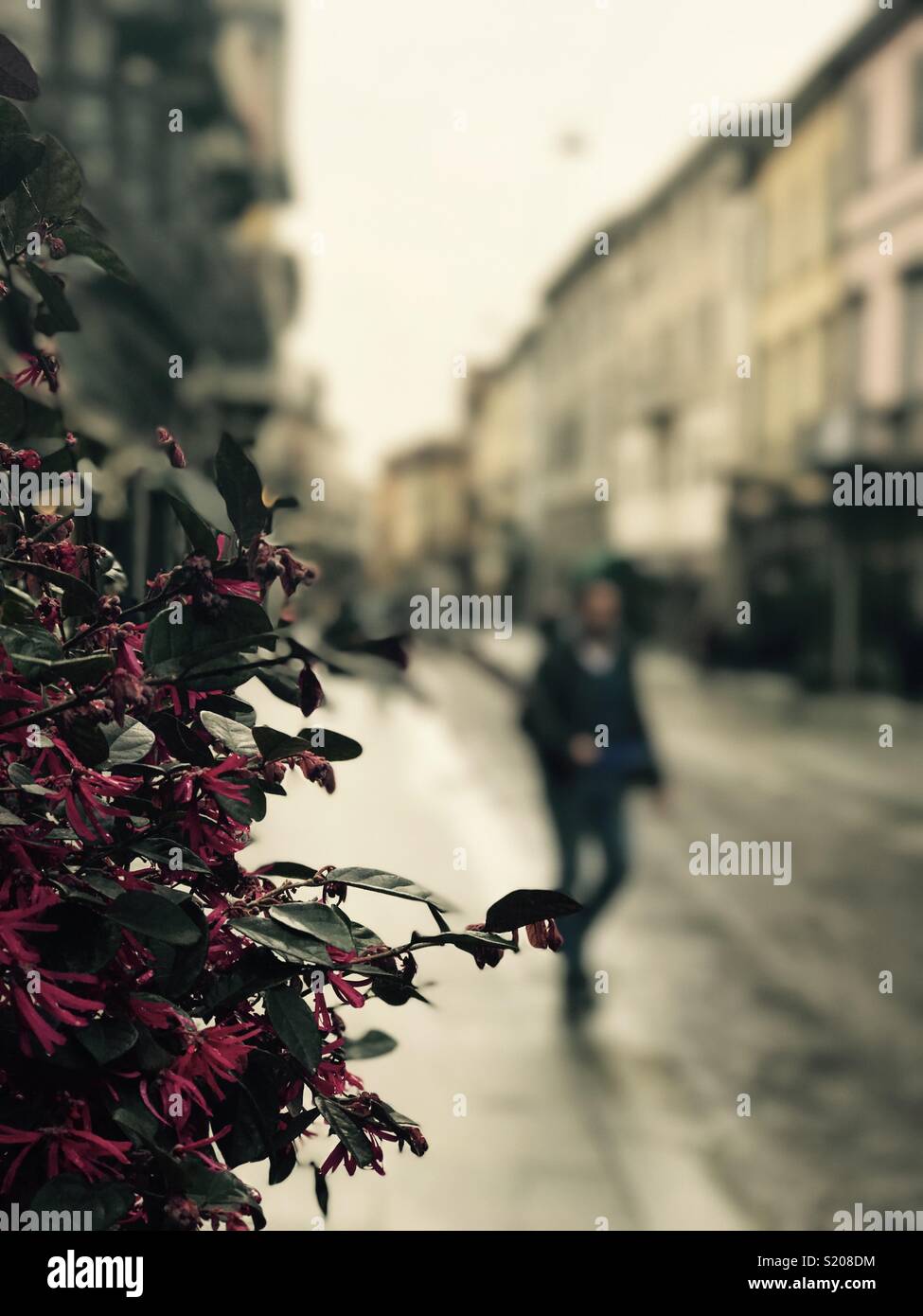 La vida de la ciudad, paisaje urbano oof borrosa borrosa antecedentes y Hombre caminando Foto de stock