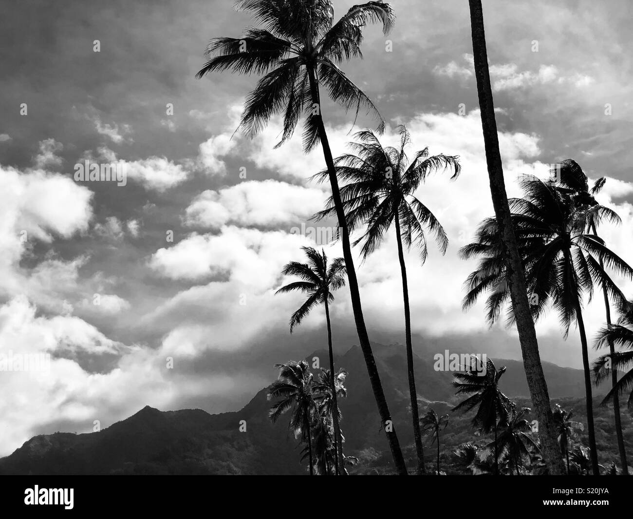 La tormenta tropical, Moorea, Polinesia Francesa Foto de stock